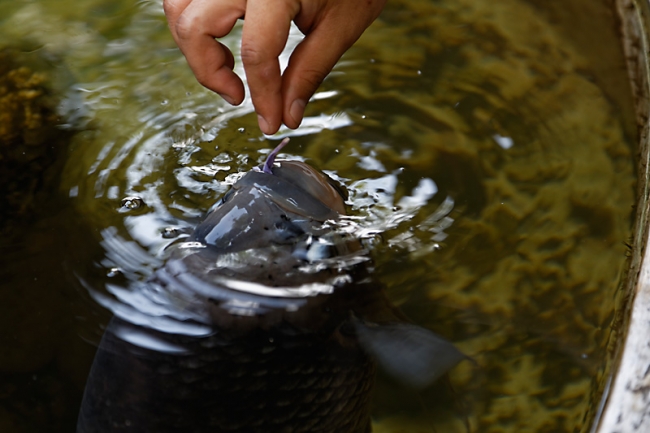 Muang Boran-2013-260